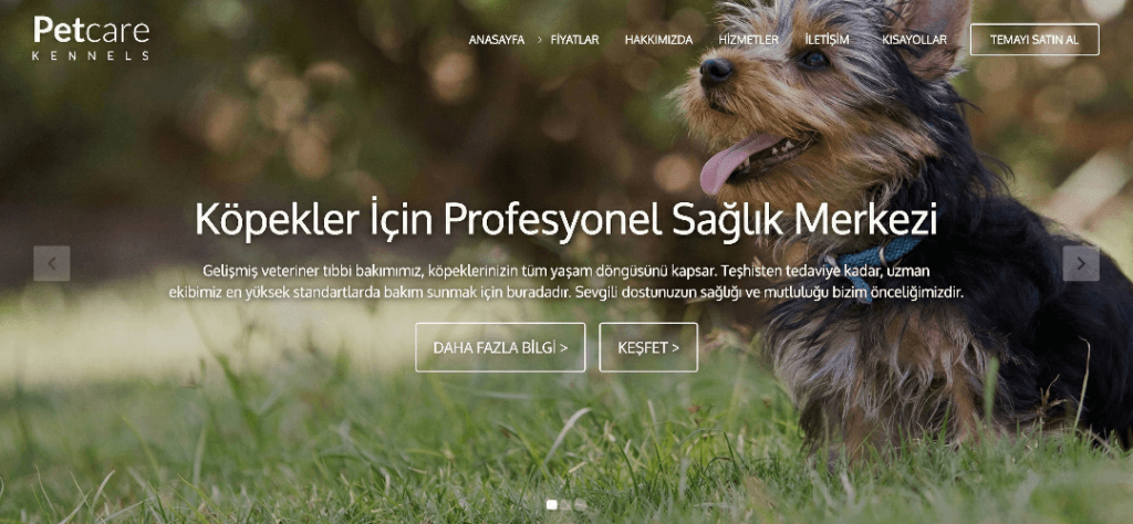 Performanslı PHP kodlama ve özel yazılım çözümü.