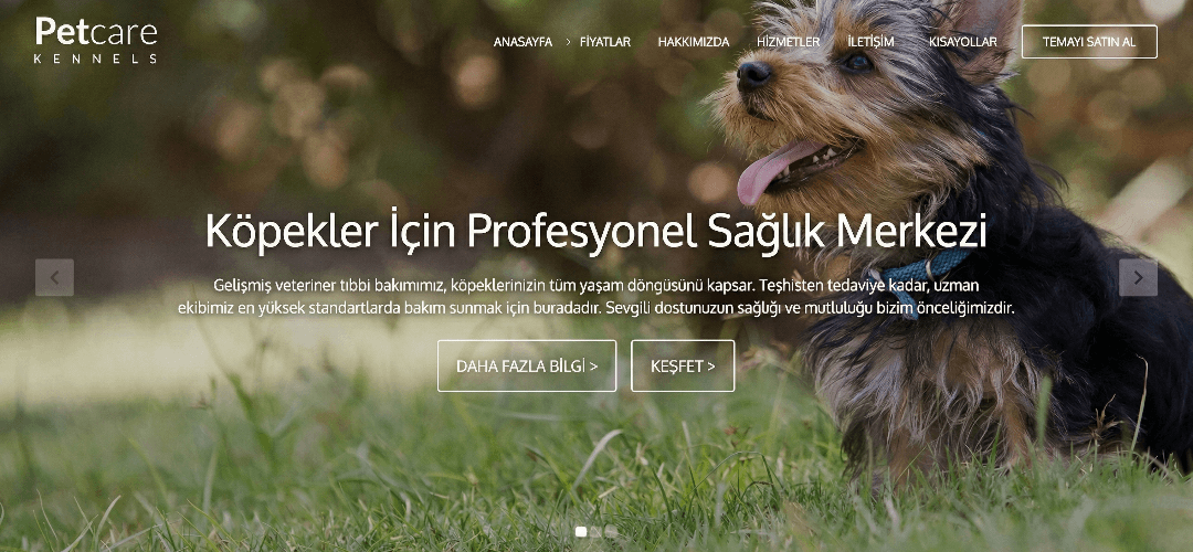 Performanslı PHP kodlama ve özel yazılım çözümü.