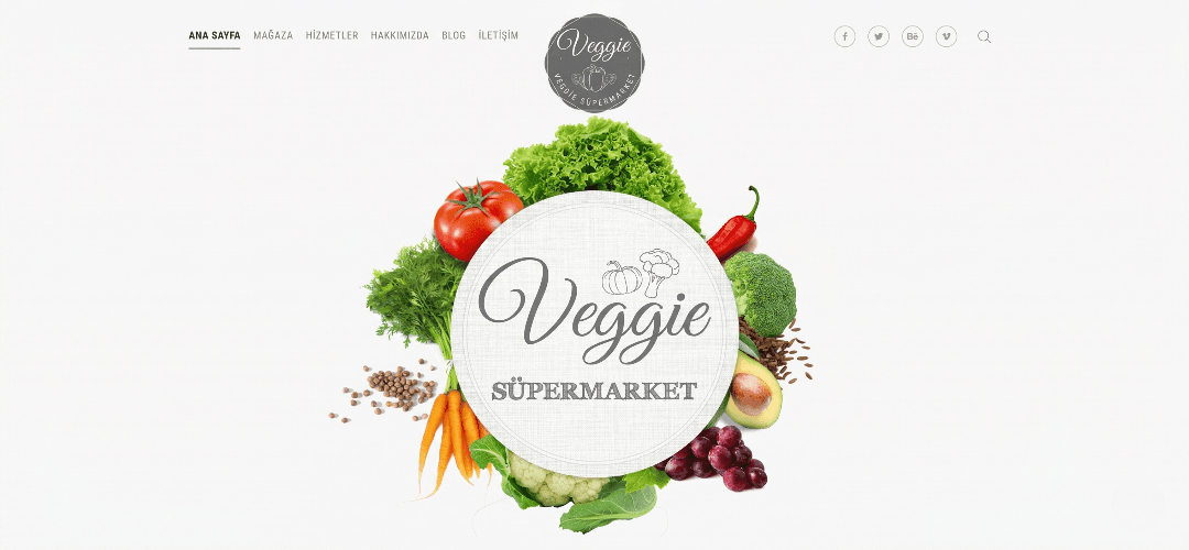 Profesyonel logo tasarımı ve görsel marka kimliği.