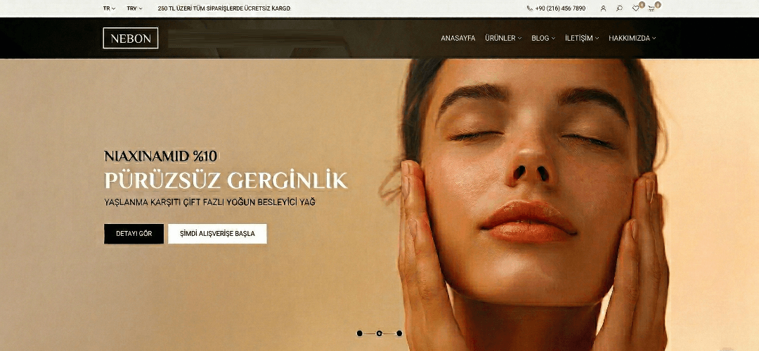 İnovatif API geliştirme ve modern yazılım çözümü.