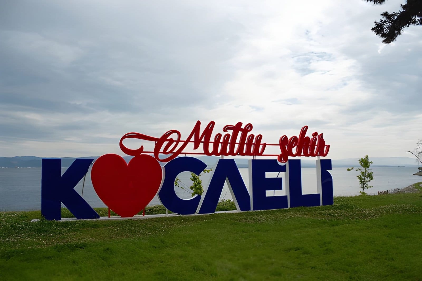 QR menü tasarımı ve restoran dijital menü yazılımı.