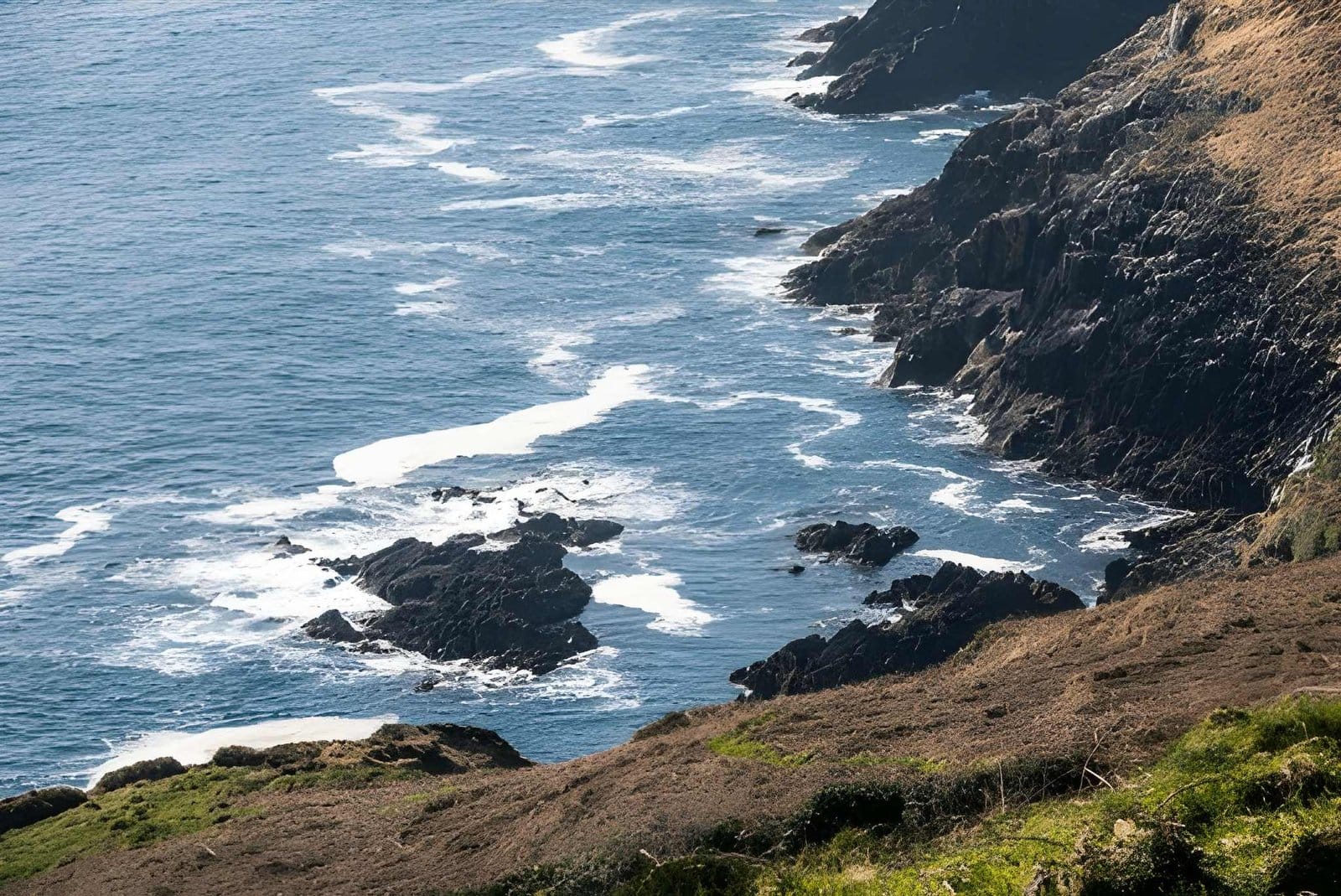 Lottie animasyon entegrasyonu ve hafif web grafikleri.